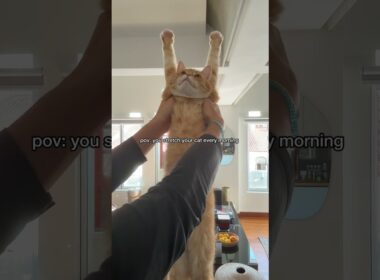 time for a biiiig stretch!