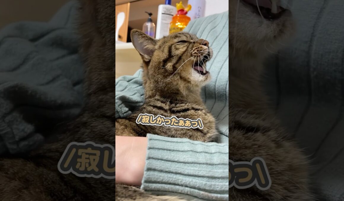 「寂しかったのぉぉっ」と大好きなママに甘えていたら、まさかの事態が…