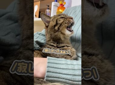 「寂しかったのぉぉっ」と大好きなママに甘えていたら、まさかの事態が…