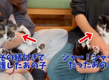 けんたくんとあおばちゃんのお届け