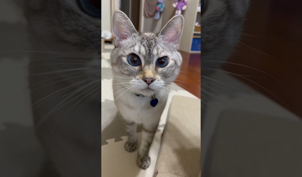 可愛い声でお願い事するうみくん💖