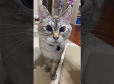 可愛い声でお願い事するうみくん💖