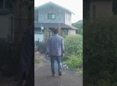 夕暮れのお散歩。いつもの散歩道 #熱海 #伊豆 #ジャパニーズボブテイル #猫のいる暮らし #保護猫  ♯野良猫