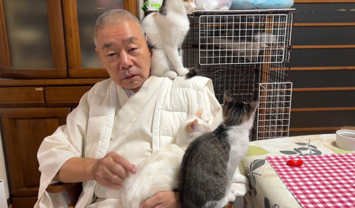 住職に乗りまくる子猫たちwwwwww