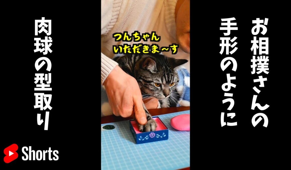 肉球を型取る #shorts