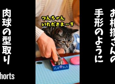 肉球を型取る #shorts