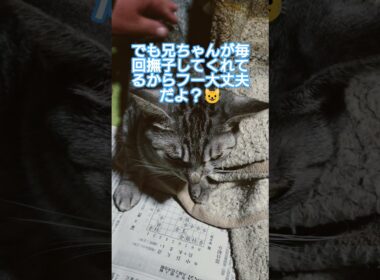 吹雪がオニャノコ中なんで撫子しめあげた動画#cute #cat ＃吹雪