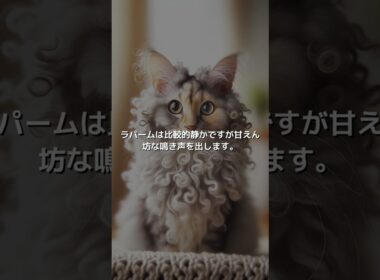 【ねこ図鑑】ラパーム | #shorts