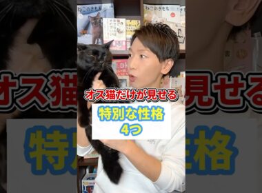 オス猫だけが見せる特別な性格4つ
