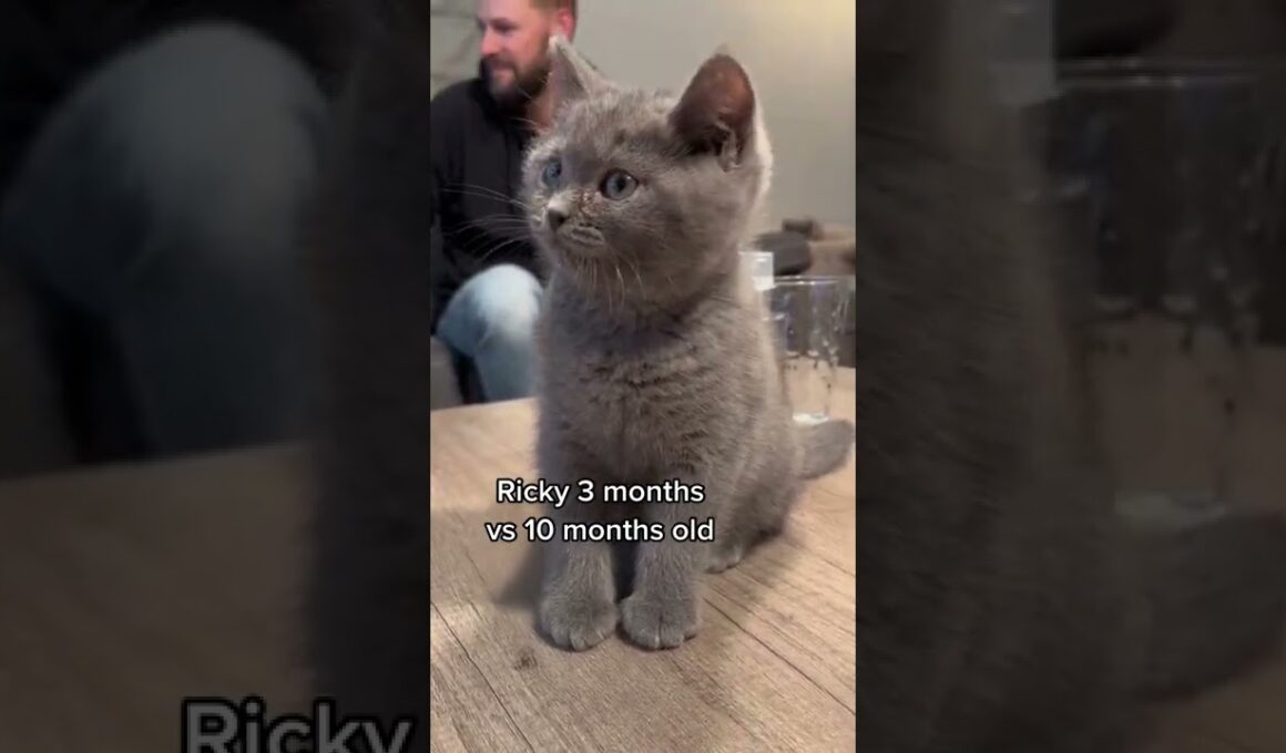 3 months vs 10 months growth🐈‍⬛🤩