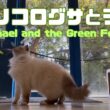 バーマン猫ラフ【エノコログサとラフ】Raphael and the Green Foxtail（バーマン猫）Birman/Cat