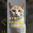 神話や伝説に登場する猫5選　#神話の猫#伝説の猫