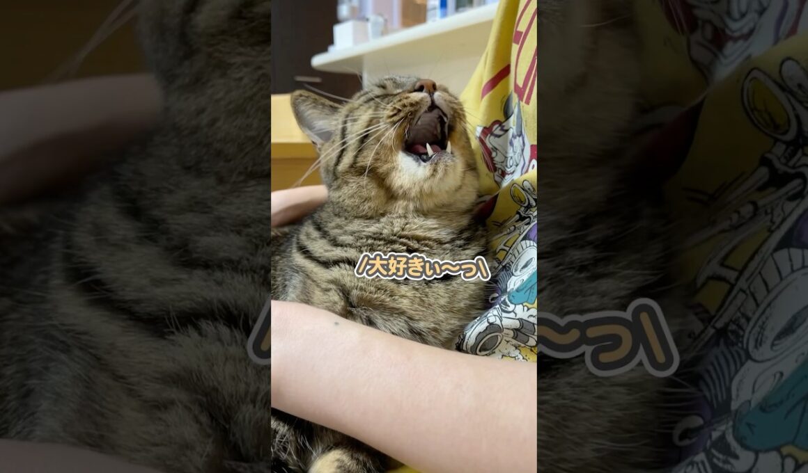 ママには「大好きぃっ」って甘えるのに…