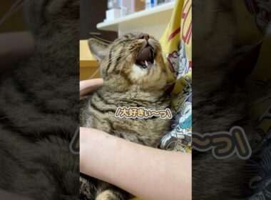 ママには「大好きぃっ」って甘えるのに…