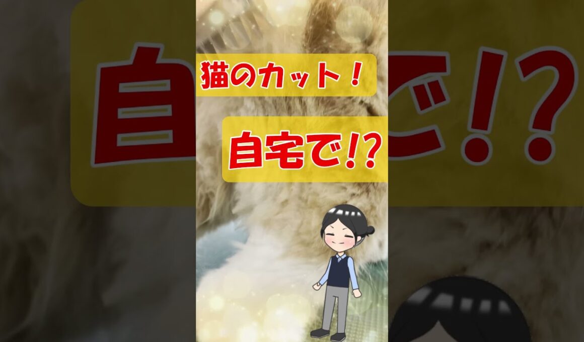 猫の「抜け毛」。もう気にならない！最新ブラシ&バリカンをご紹介！#Shorts