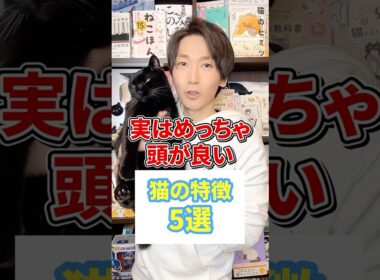 実はめっちゃ頭が良い猫の特徴５選 #猫 #猫動画 #ねこ