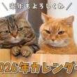 2026年カレンダーの写真を全部見せしちゃいます！