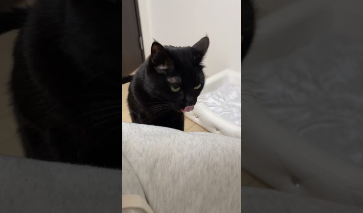 【驚愕】え、まさかそんな所にいるなんて…