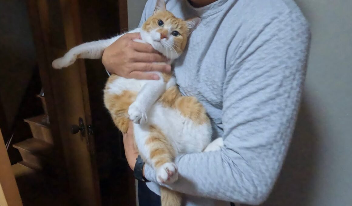 父の帰宅を喜んだら‥こうなりました