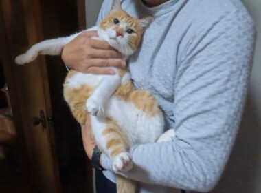 父の帰宅を喜んだら‥こうなりました