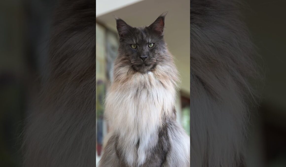 Somebody’s watching me.