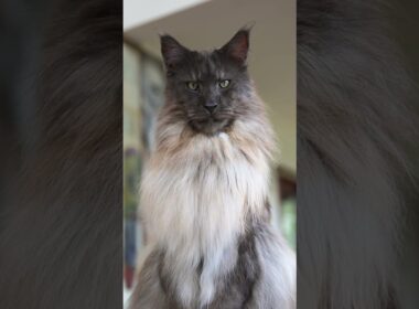 Somebody’s watching me.