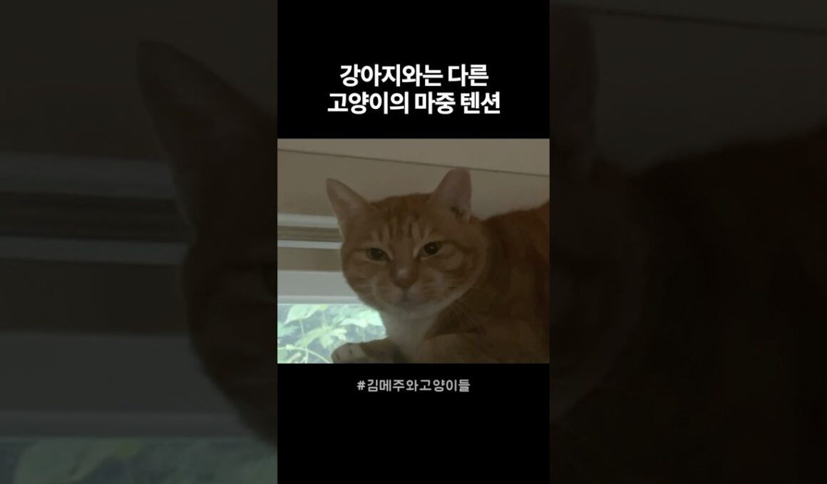 일주일만에 만난건데