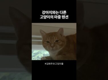 일주일만에 만난건데