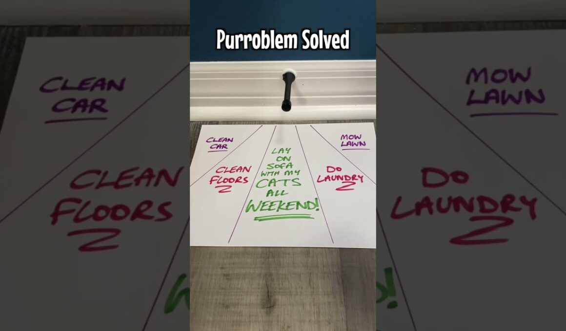 How Cat People Make Plans…