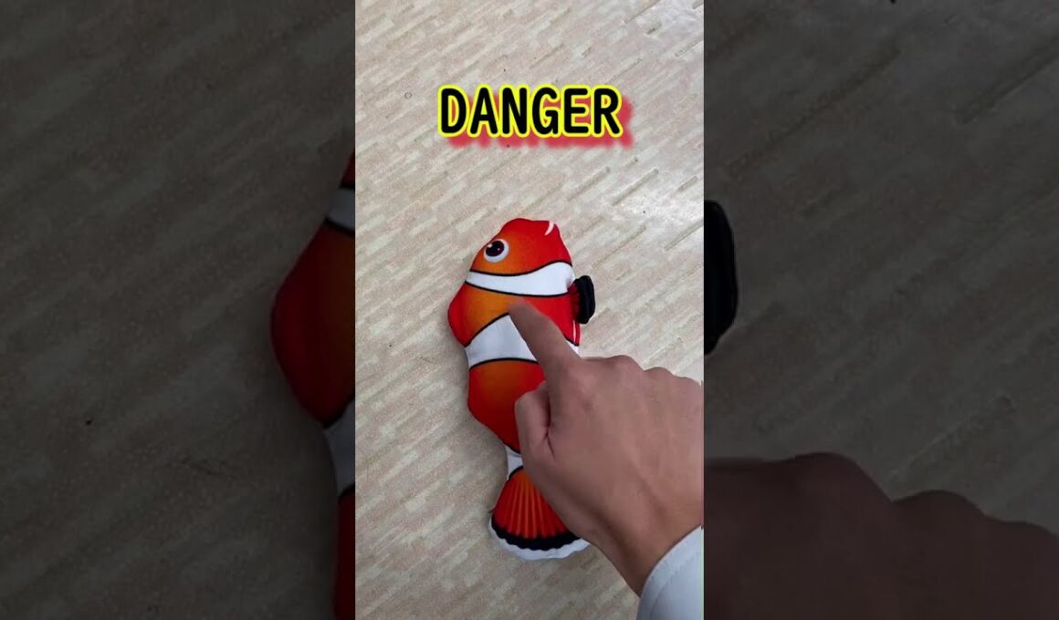 【ストリートキャット】Cat VS Fish