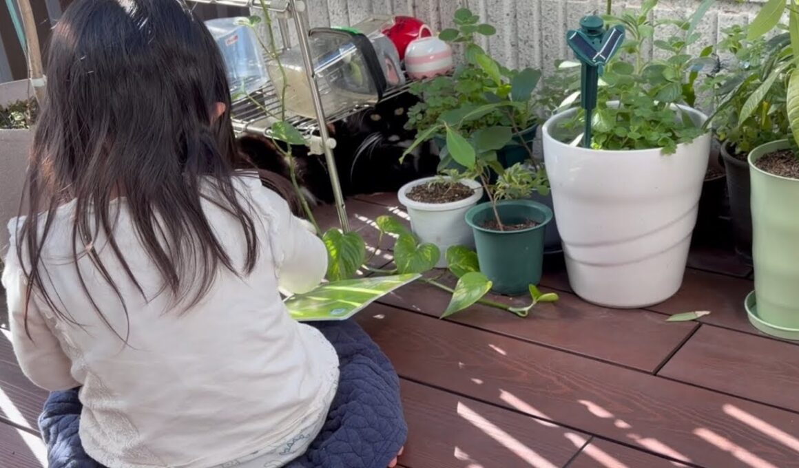 幼児から絵本の読み聞かせを受ける猫　サイベリアン