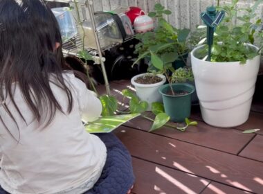 幼児から絵本の読み聞かせを受ける猫　サイベリアン