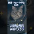 10キロの大型猫でも使える！HHOLOVE自動猫トイレPro L1 清掃・脱臭・健康管理が一体になった最新型のスマート猫トイレ