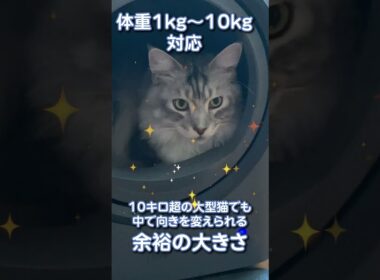 10キロの大型猫でも使える！HHOLOVE自動猫トイレPro L1 清掃・脱臭・健康管理が一体になった最新型のスマート猫トイレ