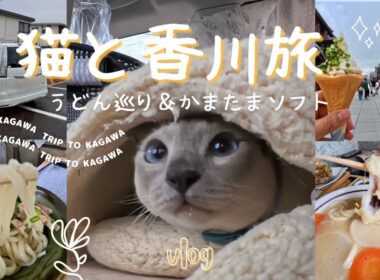 【猫と香川旅Vlog】猫とうどん巡り&かまたまソフトを満喫🍜🍦🐾【トンキニーズ】