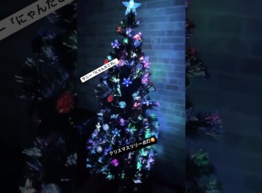 サニー🐈はじめてのクリスマスツリー🎄#スコティッシュフォールド #スコティッシュフォールド立ち耳 #クリスマスツリー#shorts