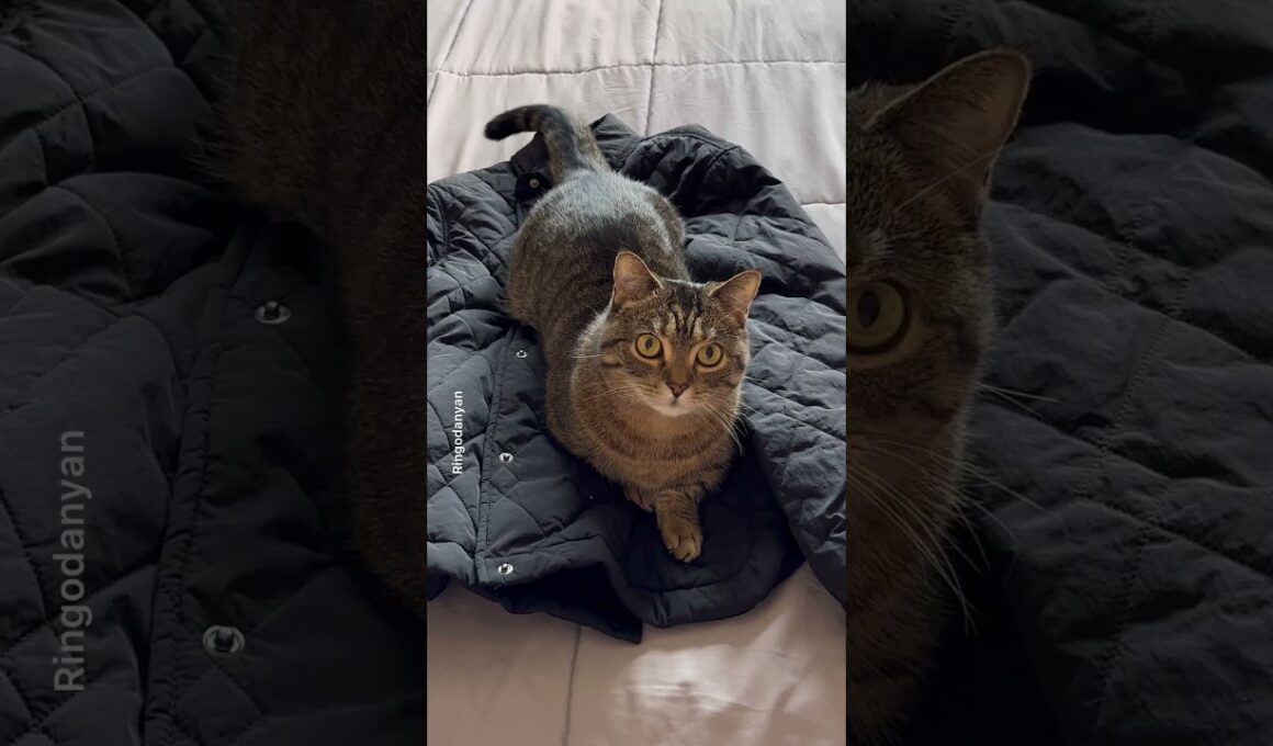 I know it happens to you every day #shorts