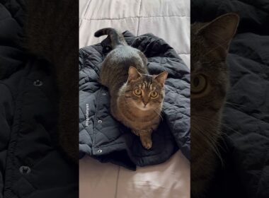 I know it happens to you every day #shorts