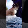 シャム猫さんとお外で遊んできました