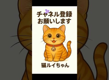 カキカキ何があるの？猫ルイちゃんの歌に乗せて  #かわいい #cat #猫のいる暮らし #アメリカンカール  チャンネルですね。