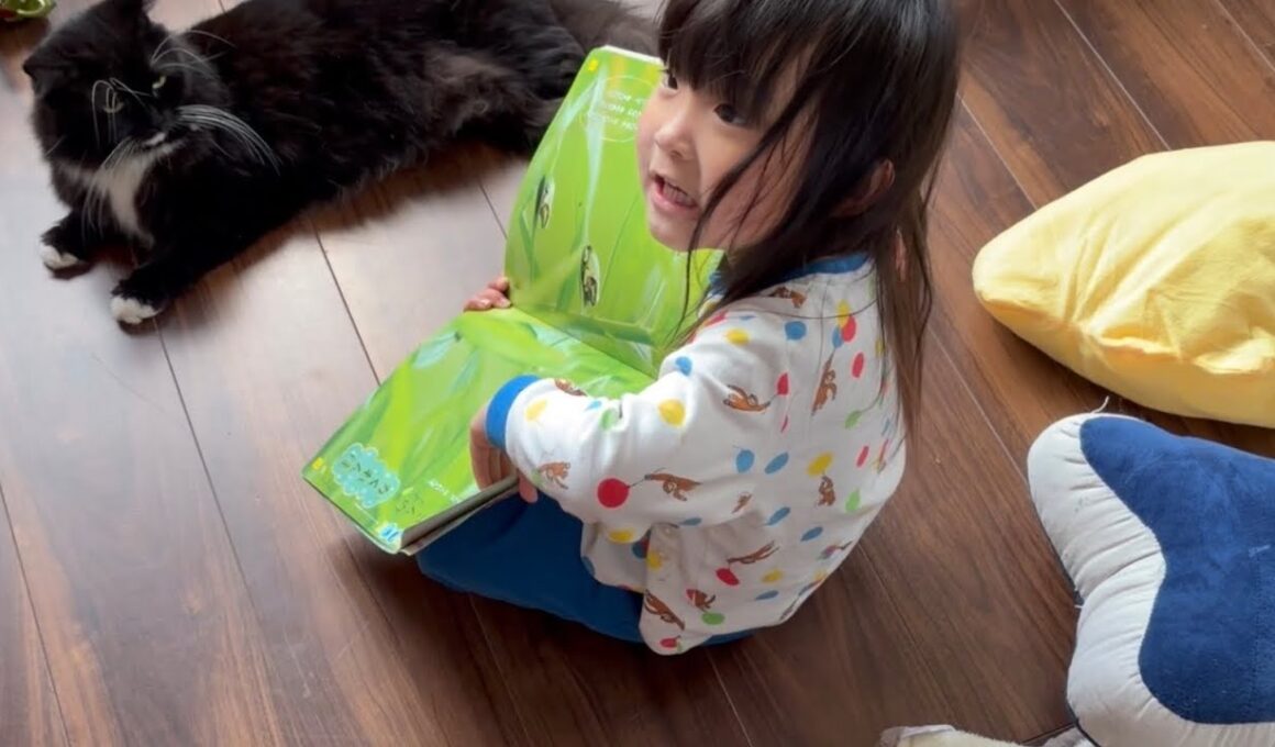 朝から幼児の相手をさせられる猫　ラガマフィン