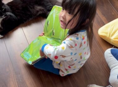 朝から幼児の相手をさせられる猫　ラガマフィン