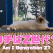 バーマン猫ラフ【ウチはZ世代？】Am I Generation Z?（バーマン猫）Birman/Cat