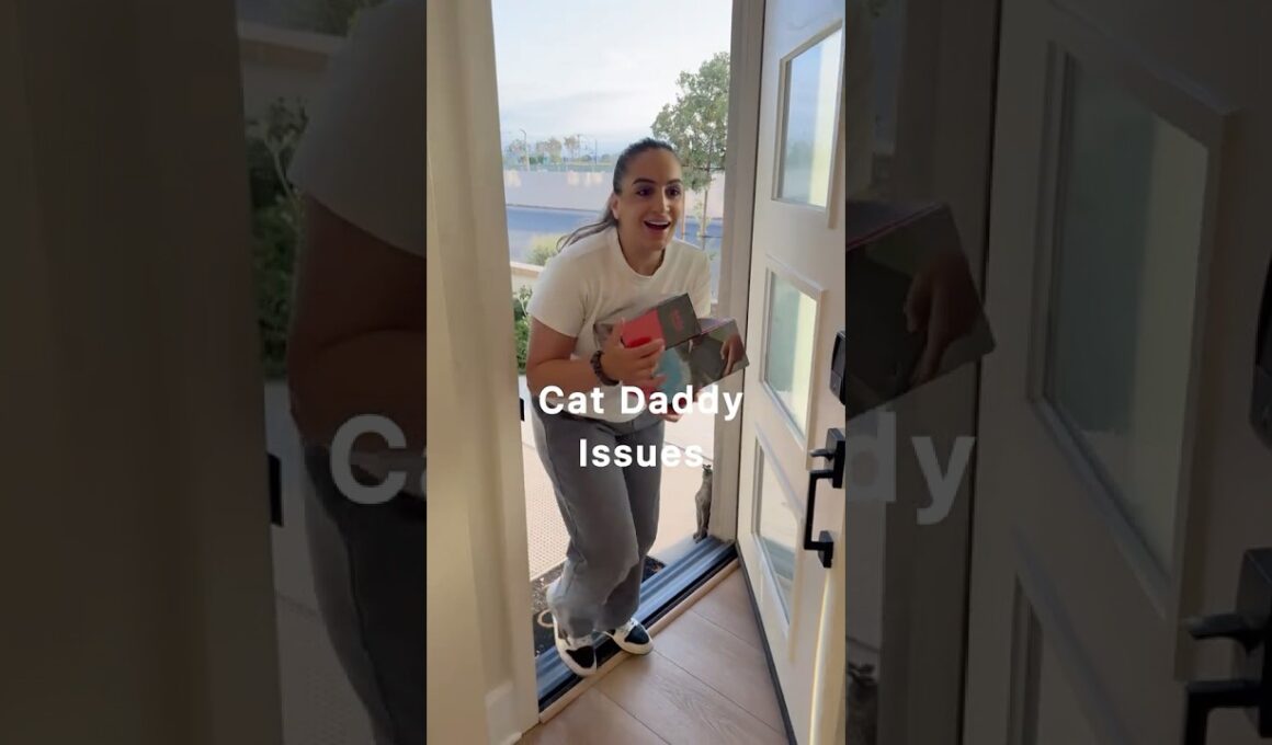 NOT THIS AGAIN! #cat #viralvideo ##youtubeshorts #foryou #pets #family #cute #fun