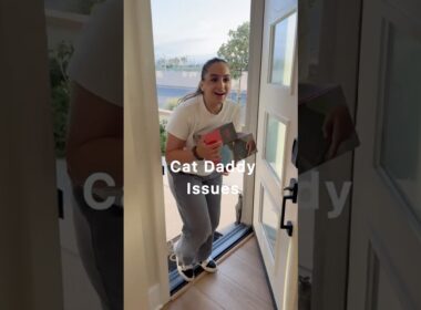 NOT THIS AGAIN! #cat #viralvideo ##youtubeshorts #foryou #pets #family #cute #fun