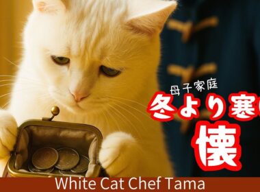 【タマのごはん処】凍える子猫！母子家庭のママ猫は冬を乗り切れるか？