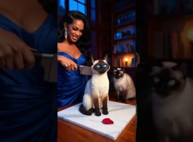 😱 シャム猫、飼い主の衝撃的な仕掛けに激怒！ケーキか?それとも猫!? 🐱💥 #ケーキ疑惑