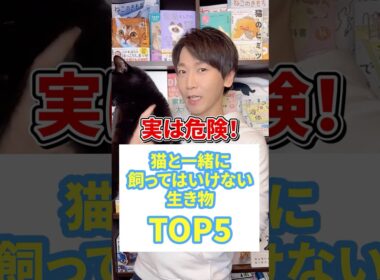 実は危険！猫と一緒に飼ってはいけない生き物TOP５ #猫 #猫のいる暮らし #ねこ