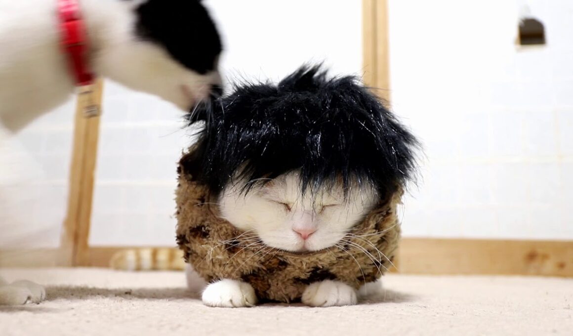 なもみ？　190112