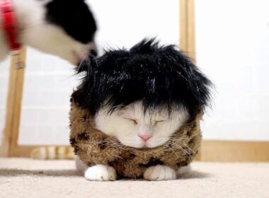 なもみ？　190112